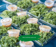 Load image into Gallery viewer, Arosep in New Zealand