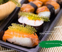 Load image into Gallery viewer, Umibudo in New Zealand