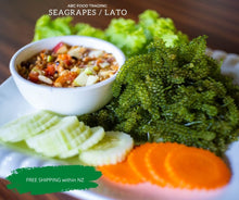 Load image into Gallery viewer, Seaweeds in New Zealand