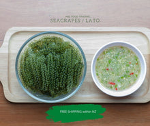 Load image into Gallery viewer, Limu Fuafua in New Zealand