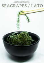 Load image into Gallery viewer, Sea grapes in New Zealand