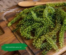 Load image into Gallery viewer, Sea Grapes in New Zealand
